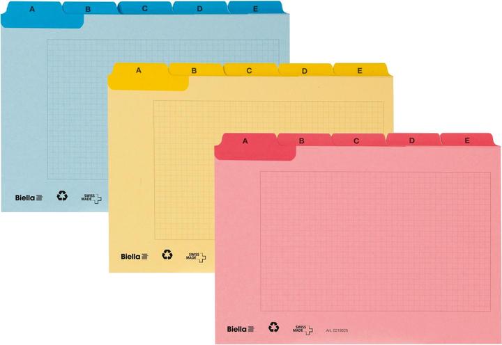 Actual product image Biella Index guide cards A6 (A6, 450 g/m², 25 x)