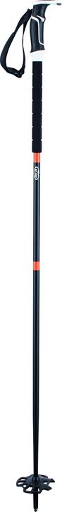 Actual product image BCA Scepter