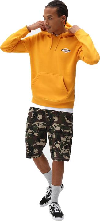 Actual product image Dickies Millerville Shorts (28)