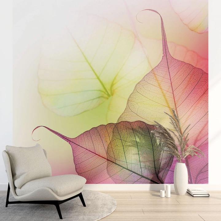 Immagine prodotto Trenddeko Design Rosa (288 x 300 cm)