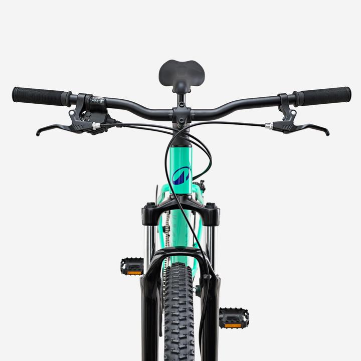 Produktbild Rockrider Mountainbike MTB 29 Zoll EXPL 100 grün