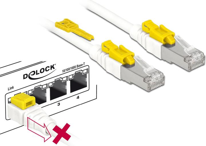 Immagine prodotto Delock Cavo patch: S/STP, 1m, bianco (S/STP, CAT6a, 1 m)