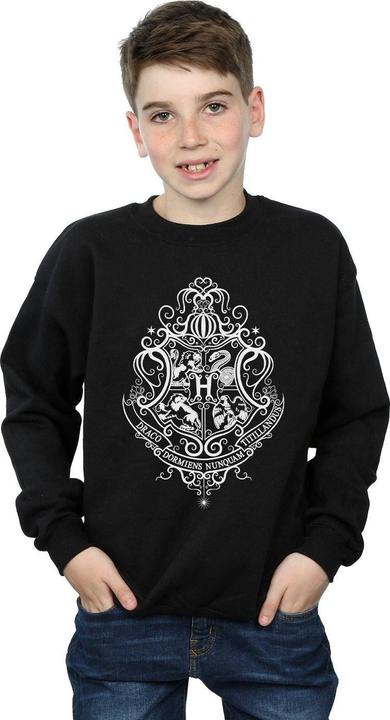 Actual product image Boys Hogwarts Draco Dormiens Crest Sweatshirt (128)