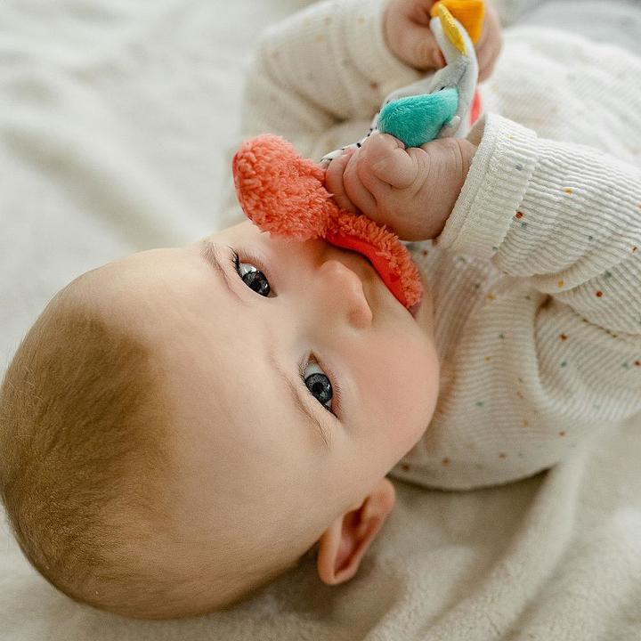 Image du produit Fehn Poisson crépitant DoBabyDoo