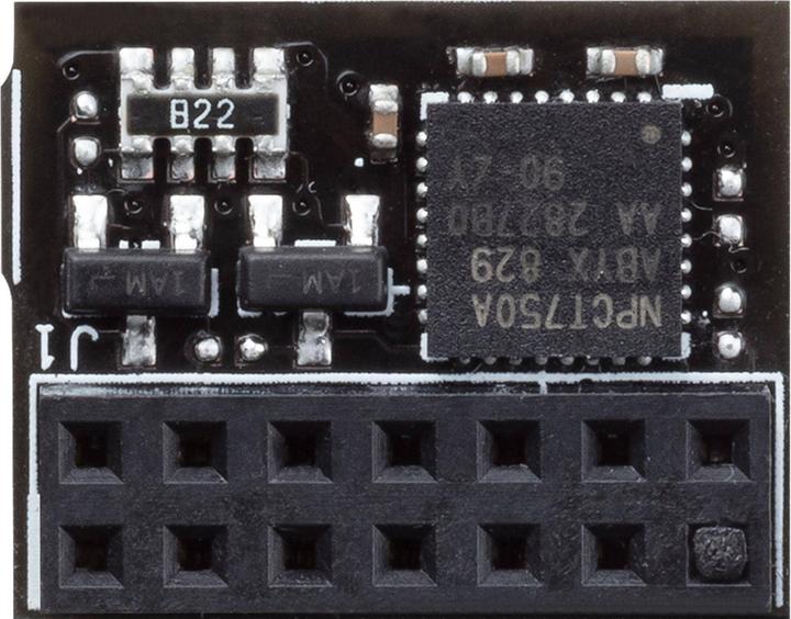 ASUS Tpm-Spi