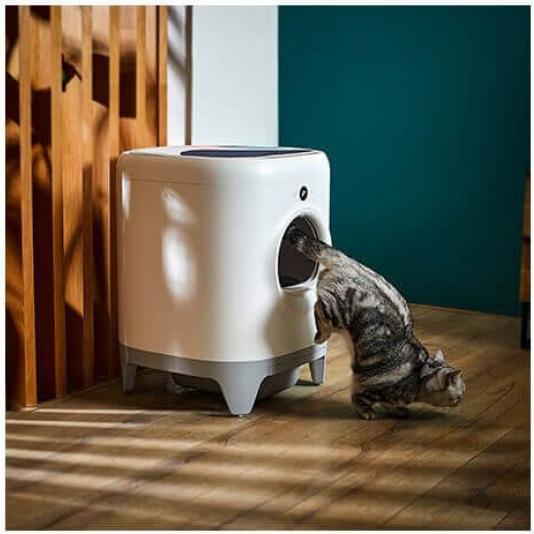 Produktbild Petkit PURA X Selbstreinigende Katzentoilette Weiss (Selbstreinigendes Katzenklo)