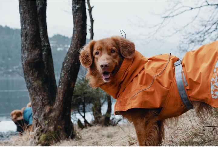 Actual product image Hurtta Monsoon raincoat orange (30, XS, Dog coat)