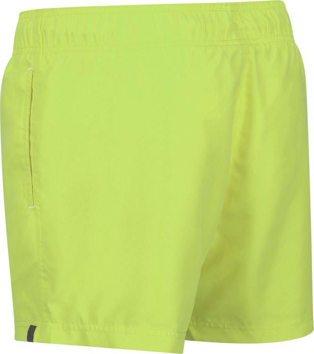 Actual product image Regatta Mens Mawson II Swim Shorts (M)