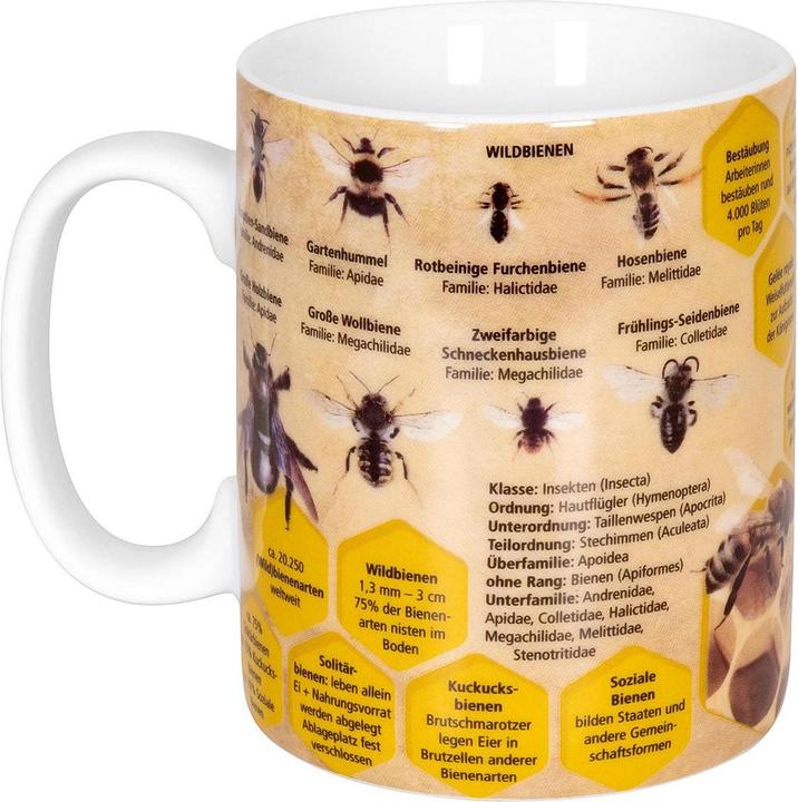 Produktbild Könitz Kaffeetasse Wissensbecher Biene 490 ml, 1 Stück, Mehrfarbig (490 ml, 1 x)