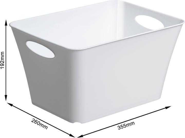 Immagine prodotto Rotho Livingbox (26 x 19,2 x 36,5 cm, 11 l)