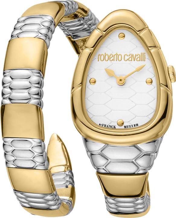 Image du produit Roberto Cavalli by Franck Muller RV1L184M0061 (Montre analogique)