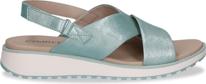 TURQUOISE NAPL