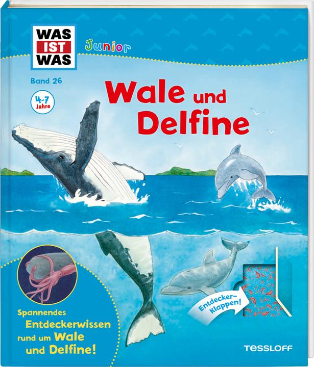 Produktbild Tessloff WAS IST WAS Junior 26. Wale und Delfine (Deutsch, Bärbel Oftring, 2018)