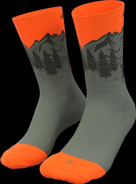 Actual product image Dynafit Stay Fast Socks Unisex (39 - 42)