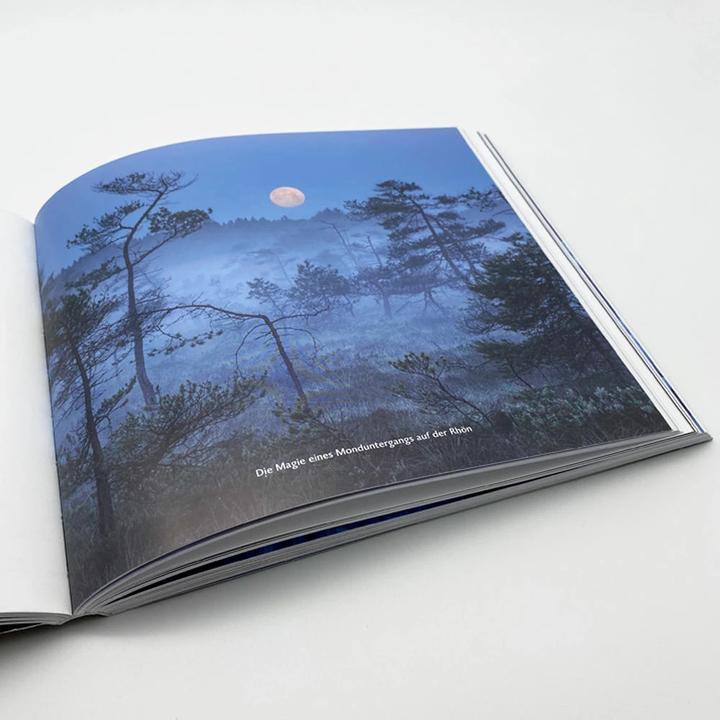 Actual product image Nachts im Wald (German, Kilian Schönberger, 2020)