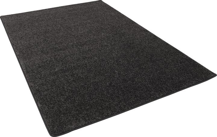 Produktbild Snapstyle Cottage Hochflor Teppich (200 x 300 cm)