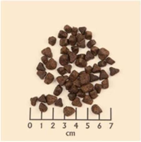 Produktbild Wolfsblut Wide Plain Small Breed (Adult, 1 Stk., 2000 g)