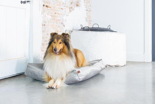 Productafbeelding Designed by Lotte Nalino (Hond)