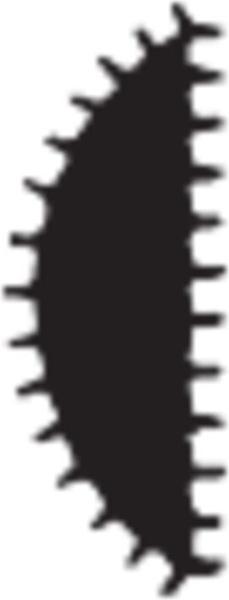 Produktbild Friedr. Dick Halbrundfeile Hieb 2 (Halbschlicht) (Hieb 2, 150 mm)
