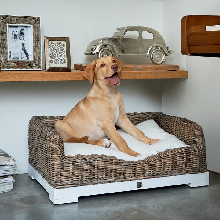 Image du produit Rivièra Maison RR Classic (Chien)