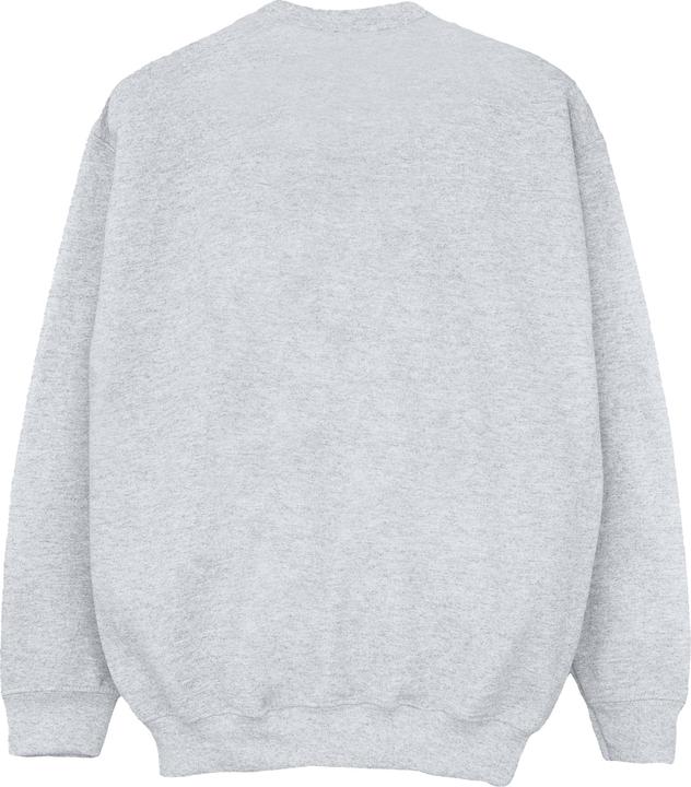 Image du produit Friends - Sweat FAIR ISLE CENTRAL PERK - Fille (140, 146)