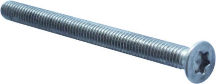 Nickal Fastening screws M 4 (Door handle)