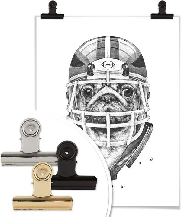 Actual product image Trenddeko American Pug Football (100 x 120 cm)
