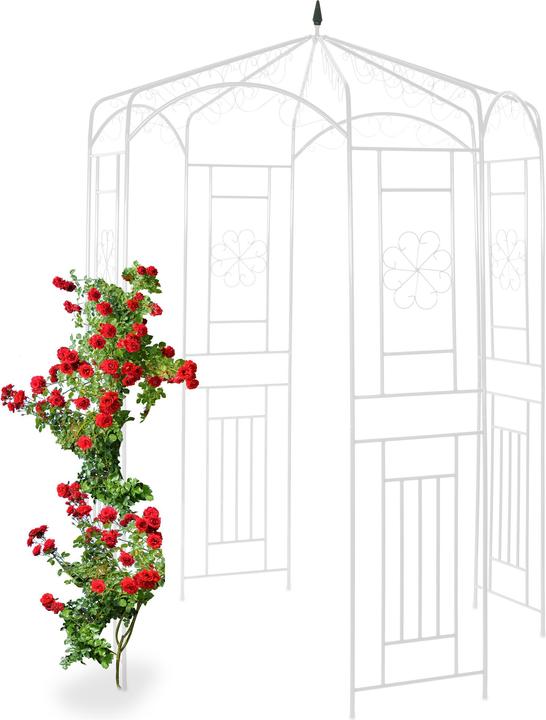 Image du produit Relaxdays Tuteur pour rosiers (160 cm, 160 cm)