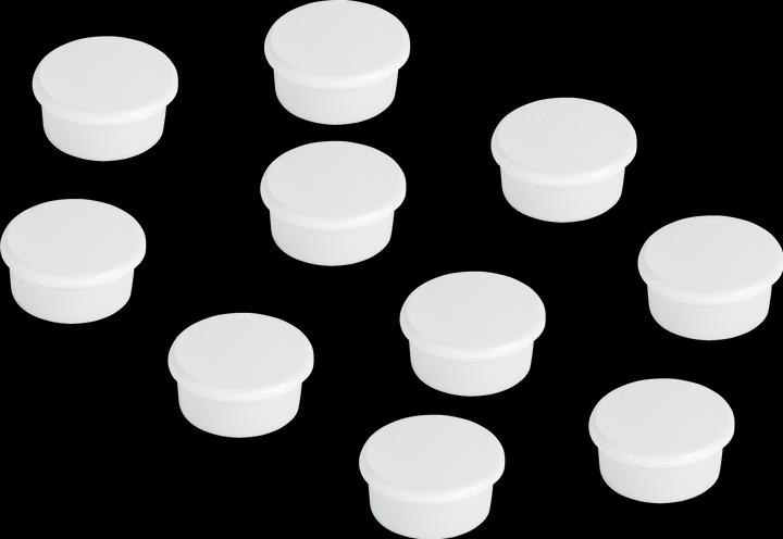 Actual product image Franken Magnet round (10 x)