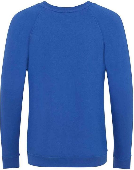 Immagine prodotto Awdis Academy Felpa Raglan Bambini (146, 152)