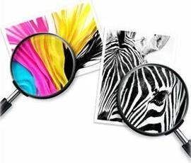 Actual product image HP 364 (Y)