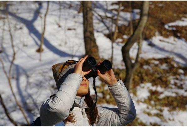 Actual product image Pentax Binoculars Jupiter 12x50 (12 x, 50 mm)