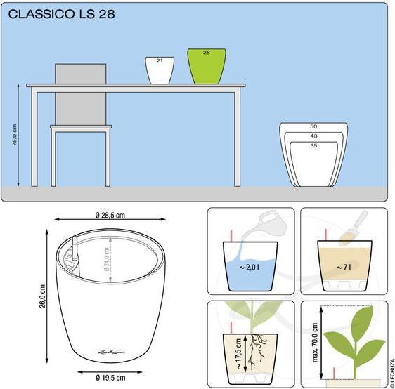 Actual product image Lechuza Classico (28.50 cm)
