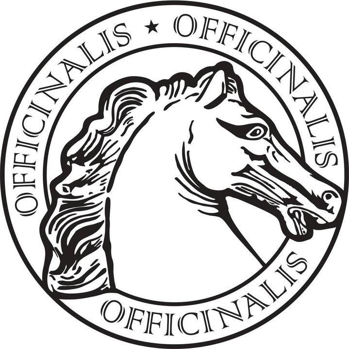 Produktbild Officinalis Dalla Grana Officinalis Artiglio Bianco 90% (1 x, 250 ml, 250 g)