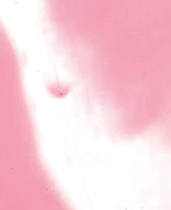 Actual product image Hobbyring Encaustic wax blocks set of 16, pink