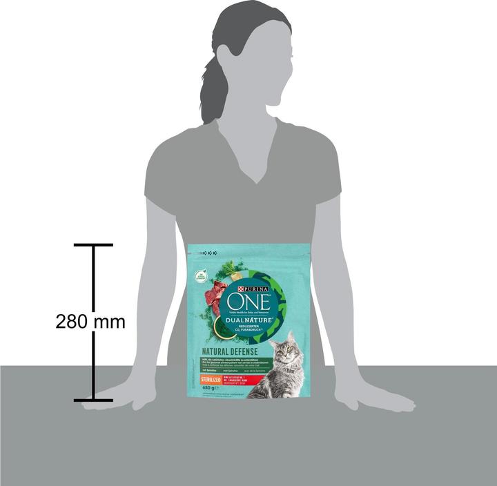 Actual product image Purina ONE 8445290070364 (Adult, 1 pcs., 670 g)