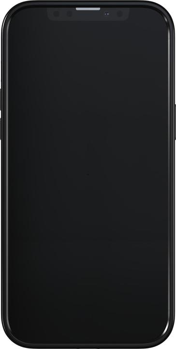 Immagine prodotto Richmond & Finch Marmo Nero (Apple iPhone 13 Pro Max)