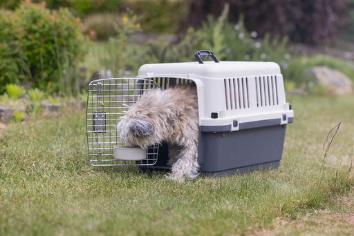 Actual product image Karlie Nomad (Dog, Cat, Lockable)