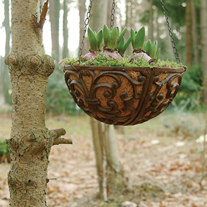 Image du produit Esschert Design Crochet pour Hanging Basket S