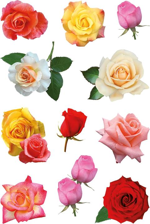 Image du produit Herma Sticker Fleurs