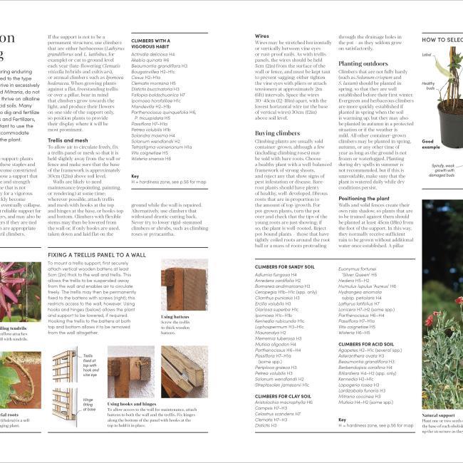 Immagine prodotto RHS Encyclopedia of Gardening New Edition (Inglese, Guy Barter, Christopher Brickell, DK, 2022)