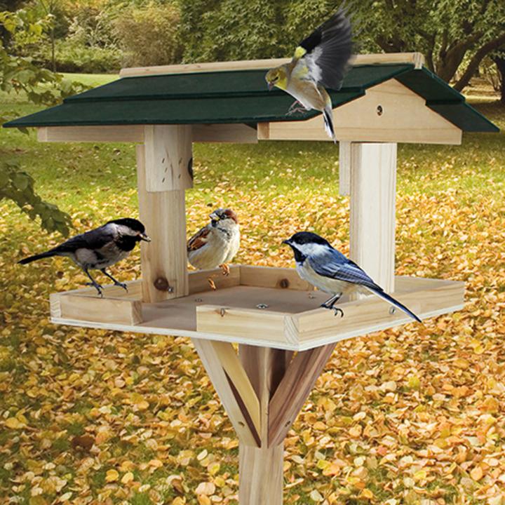 Image du produit Lifetime Mangeoire pour oiseaux avec support (115x35x35 cm)