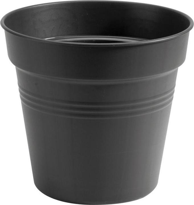 Produktbild Elho Green Basics (17 cm)
