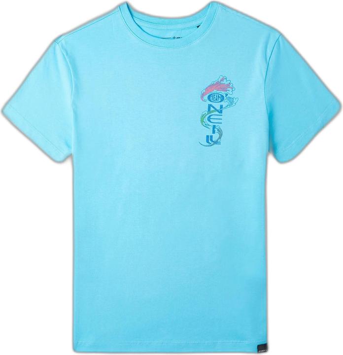 Actual product image O'Neill Team T-Shirt (176)