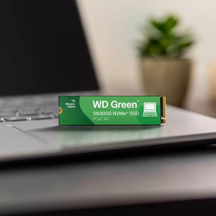 Produktbild WD Green SN3000 (500 GB, M.2 2280)