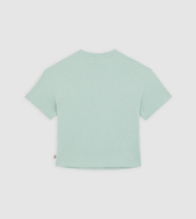 Produktbild Dickies Oakport Boxy Ss Tee Iceberg Green (S)