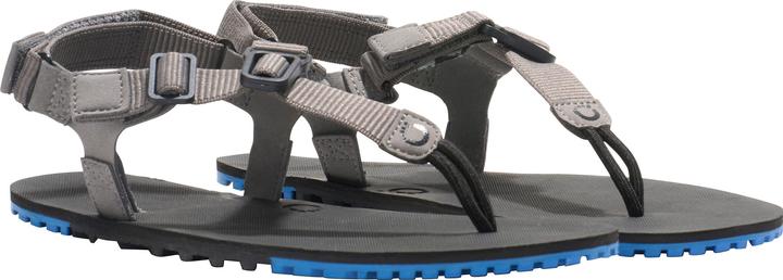 steel gray-blue iolite