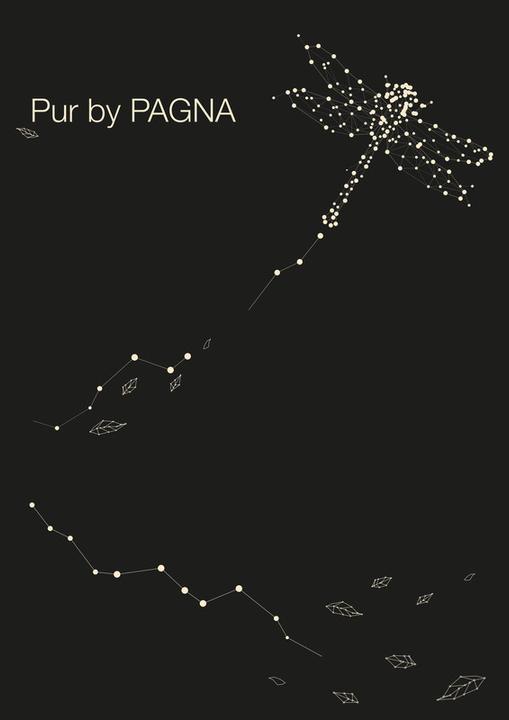 Actual product image Pagna Pure (12 x 305 x 210 mm, Checked, Soft cover)