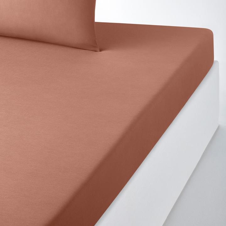 Immagine prodotto La Redoute Interieurs Scenario Coton (80 x 190 cm)