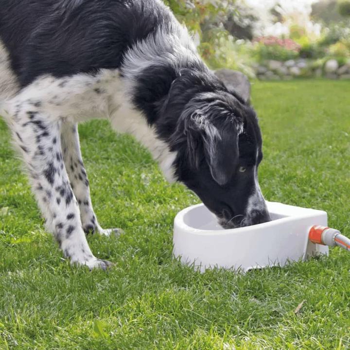 Produktbild Trixie Automatische Outdoor-Hundetränke (1.50 l)